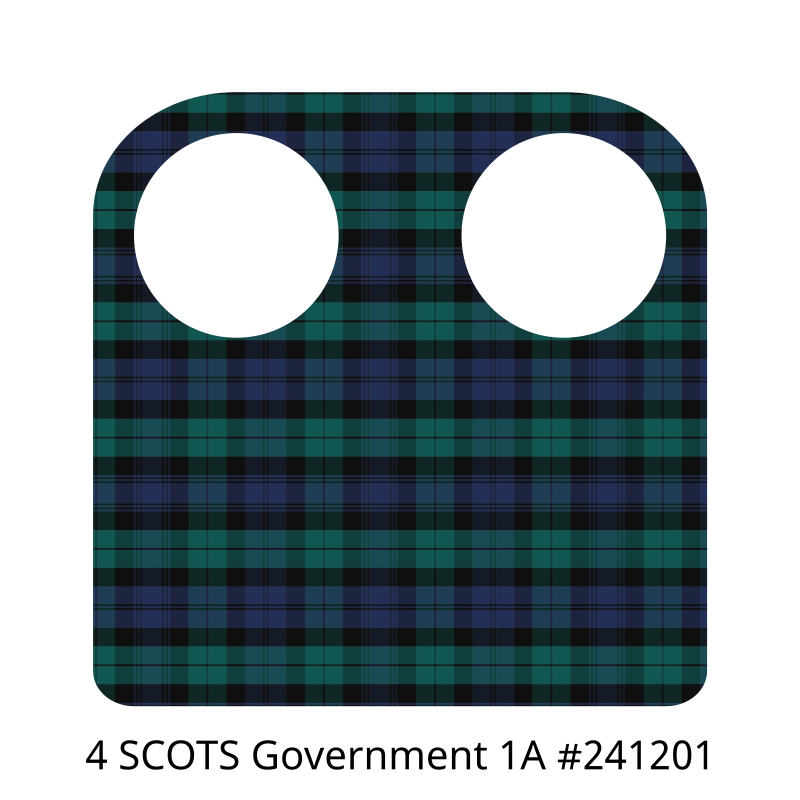 4 SCOTS Government 1A #241201